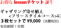 お得な lessonチケット 誕生